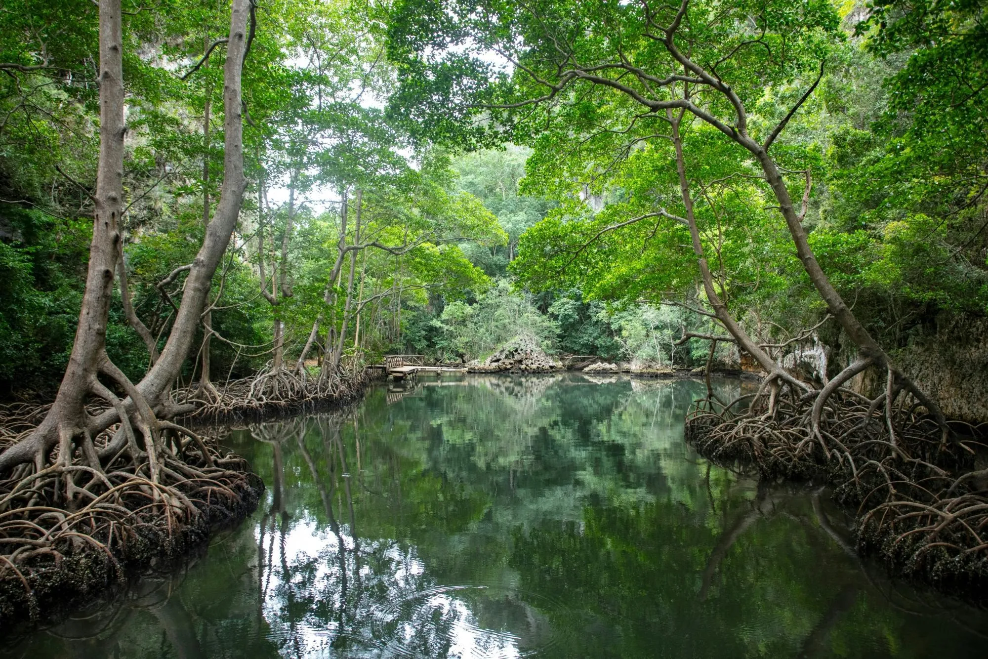 Los Haitises National Park