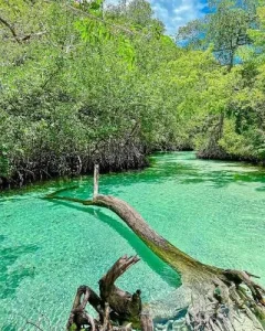 caño frio rincon in samaná
