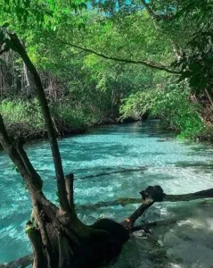 caño frio rincon in samaná