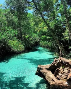 caño frio rincon in samaná