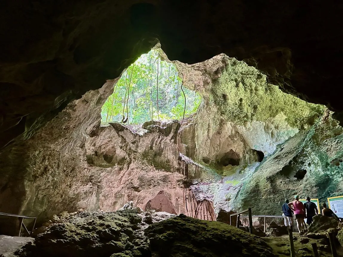 exploring los haitises national park in samaná
