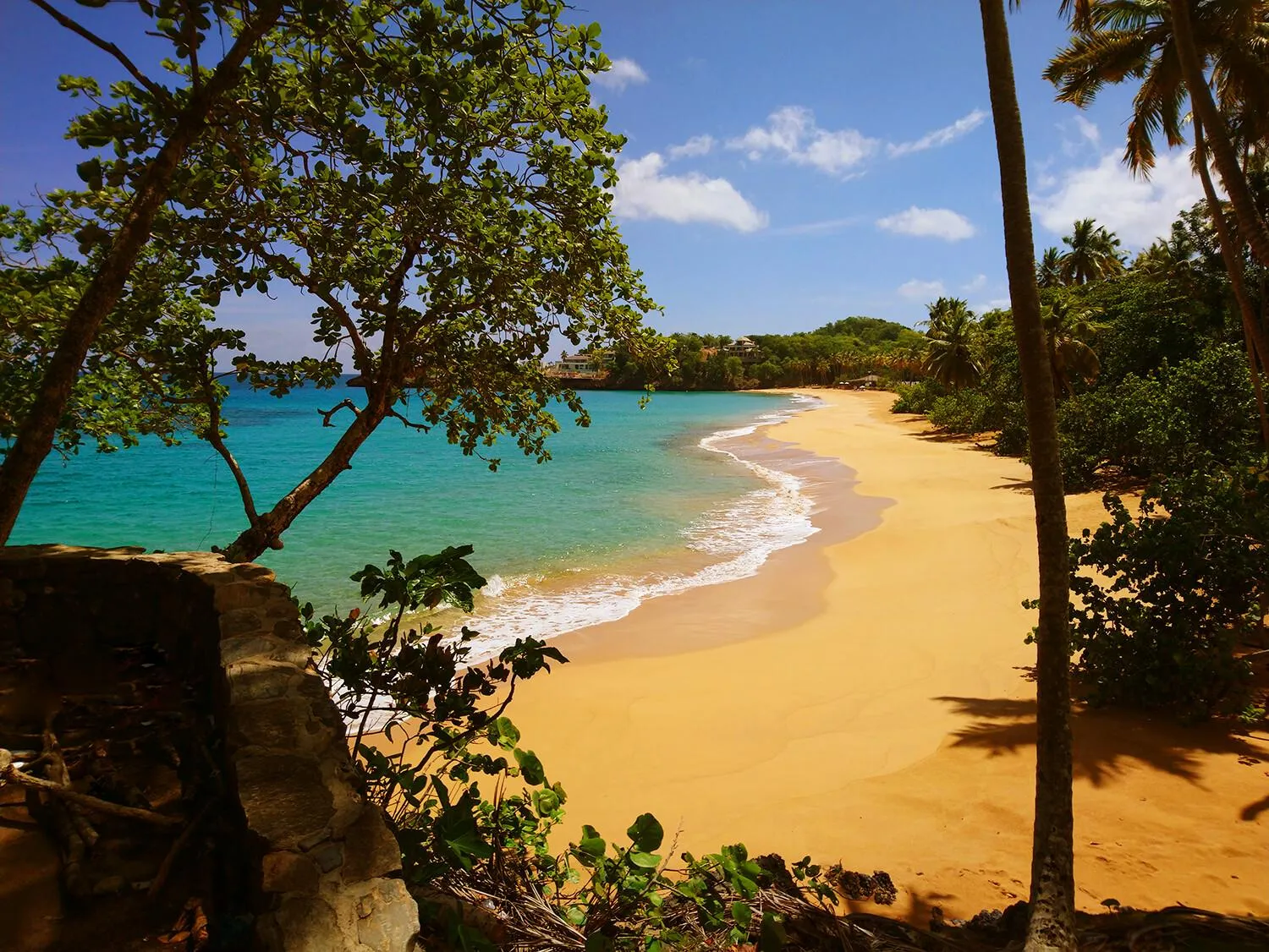 morón beach el limon of samaná 01