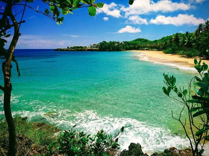 morón beach el limon of samaná