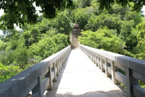 the samaná bridge