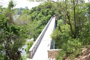 the samaná bridge