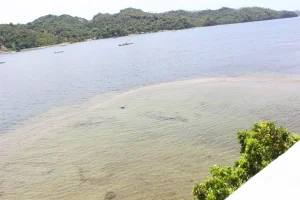 the samaná bridge