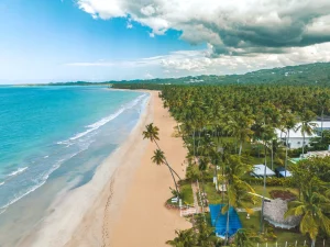 viva v samana
